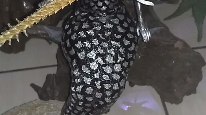 hasil karya ku mermaid