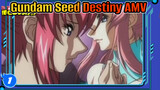 Gundam Seed Destiny -  AMV| Kimi wa Boku ni Niteiru_1