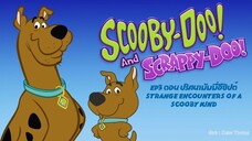 Scooby-Doo & Scrappy-Doo สคูบี้-ดู & สแครปปี้-ดู ตอนที่ 3