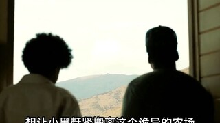 一口气看完乔丹皮尔导演的最新力作，悬疑惊悚大片《不》 #悬疑推理 #惊悚 #反转 #一剪到底 #我的观影报告