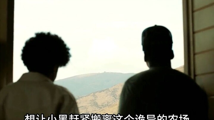 一口气看完乔丹皮尔导演的最新力作，悬疑惊悚大片《不》 #悬疑推理 #惊悚 #反转 #一剪到底 #我的观影报告