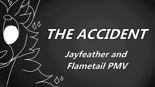 The Accident | Warriors Jayfeather and Flametail PMV