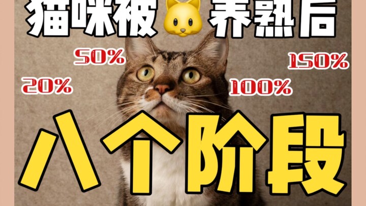 See what stage your cat has been tamed to