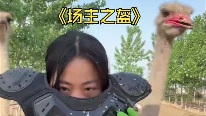 Haven’t you all been curious about my armor? Today, I’m giving you a full, 360-degree reveal!