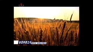 Notícias do setor agrícola