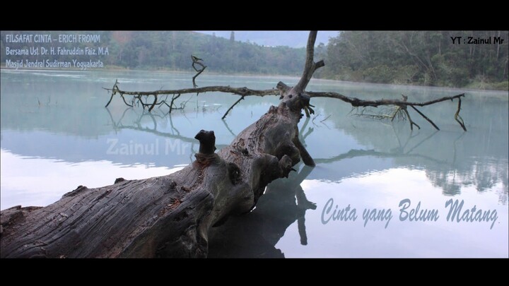 Cinta yg Tidak Sehat - Fahruddin Faiz