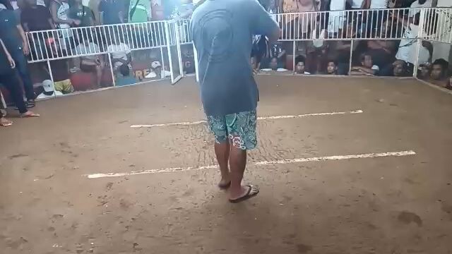 2x winner lemon sweater