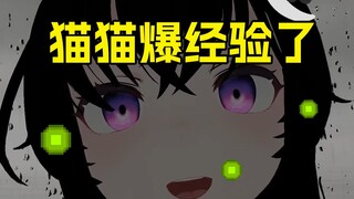 好多经验在猫猫的身上！