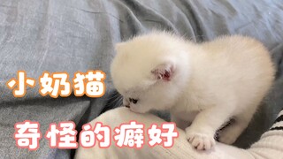 小奶猫还有哪些“不为人知”的奇怪癖好？