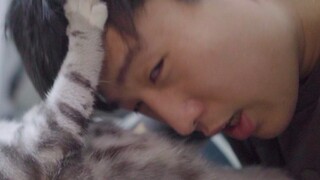 คุณจะทนได้ไหมถ้ามนุษย์โง่ๆ เอาหัวมุดเข้าไปในท้องแมวแล้วลูบมัน?