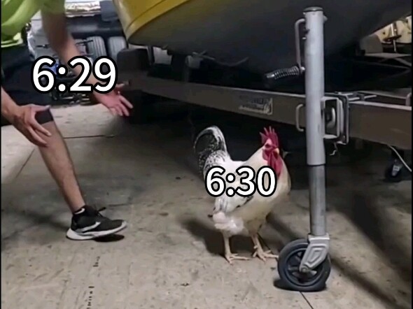 When you wake up before your alarm