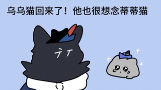 歌歌猫对乌乌猫充满怨念