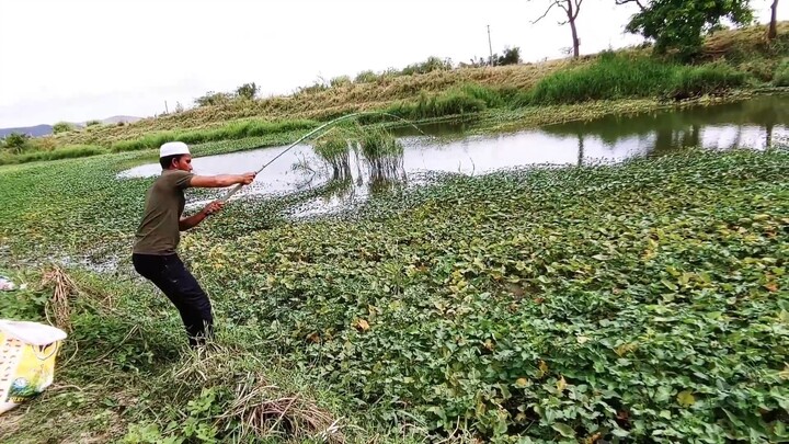 Incredible Fishing_Fisher Man Catching The Rohu Fishes To Catch With Hook_Unique