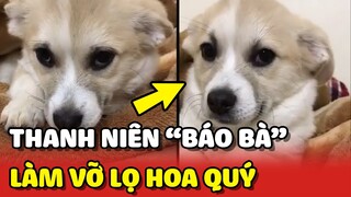 Thanh niên cún làm vỡ lọ hoa của bà và cái kết BẤT LỰC 😂 | Yêu Lu