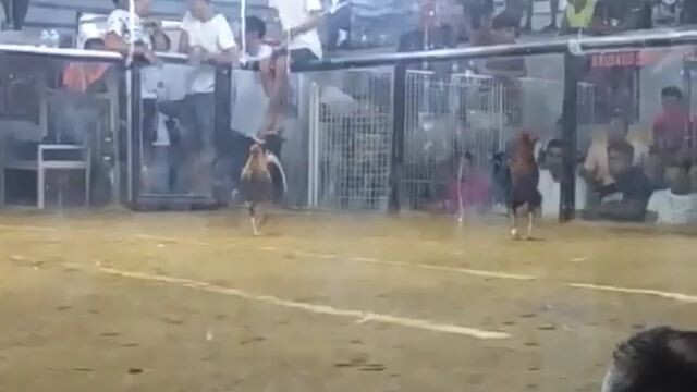 Fantastic Dome in action #1