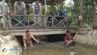 AO CÁ HUYỀN THOẠI - MÓN NGON DÂN DÃ | Hội Ngộ Miền Tây - Tập 510