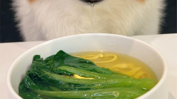 Mì trứng lòng đỏ rau củ cho cún Corgi