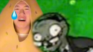 The Pain of the Nut Wall