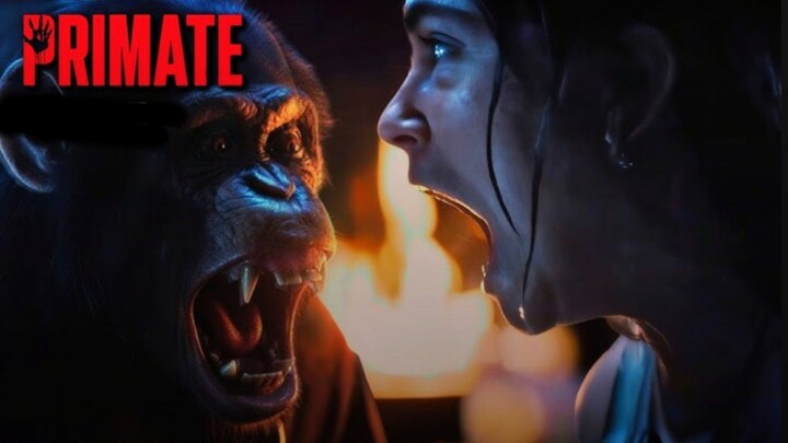 [MOVIE] PRIMATE - Film Horor Terbaru Tentang Teror Simpanse Gan4s