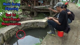 Ikan Nilem Disini Gak Habis-Habis Broo!!!