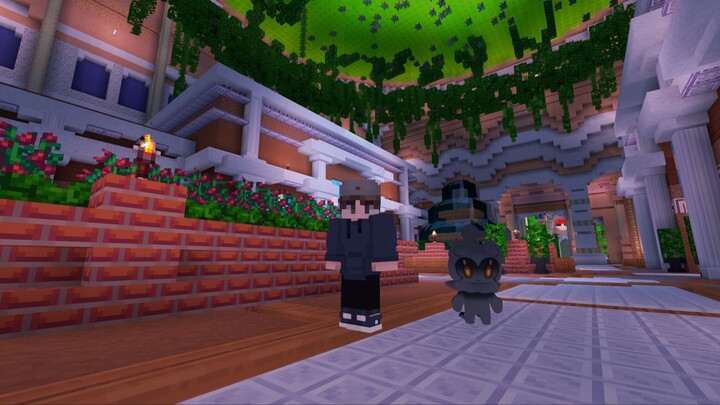 BEAST GAMING NETWORK: PIXELMON SERVER WARP SHOP