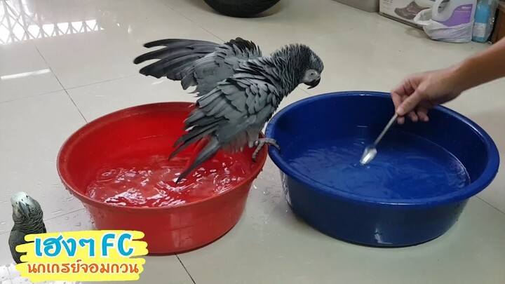EP.310 พี่เฮงลงอ่างใหม่ ใหญ่กว่าเดิม