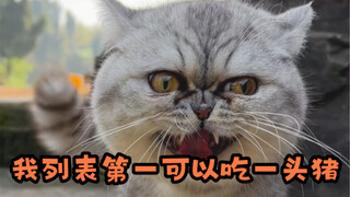 Jika aku nomor satu dalam daftarku, aku bisa makan seekor babi!