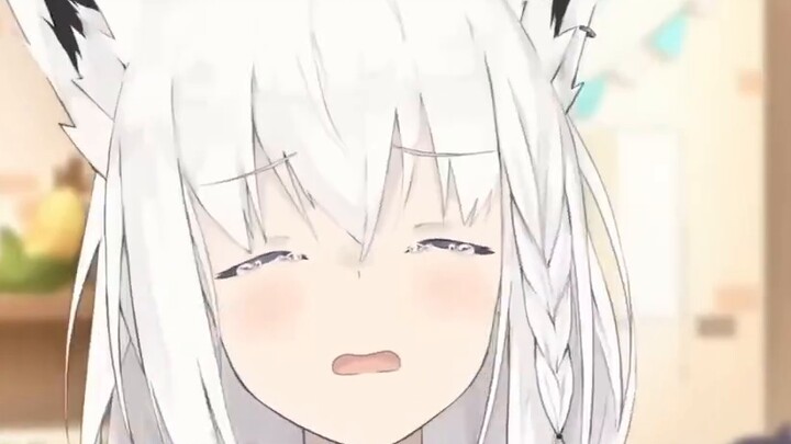 Fubuki's reaction when she was told that she didn't have an F cup [Shirakami Fubuki] [Chinese subtit