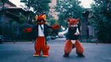 [PROJECT-D] 520 looking for a lover (provisional) [Fursuit Dance]