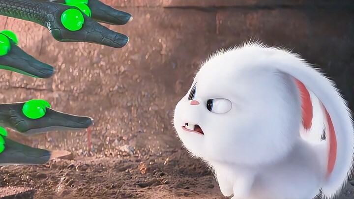 Anh trùm thỏ hung dữ hóa thành bé thỏ dễ thương # Hoạt hình chữa lành