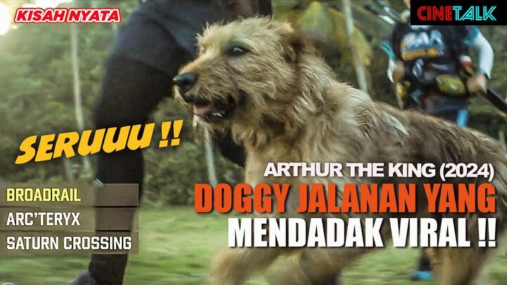 DIKASIH SEBUTIR BAKSO ANJING INI LARI SEPANJANG 200 KM IKUTI & SELAMATKAN NYAWA MAJIKAN BARUNYA !