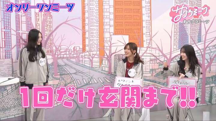 Sakura Meets #161