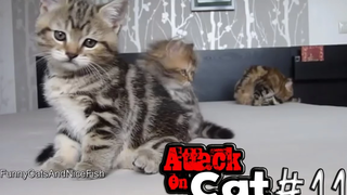 รวมพลแก๊งค์แมวฮ่า Attack on Cat ! 11 / ตอน เอเลนสัมผัสได้ พากย์นรก