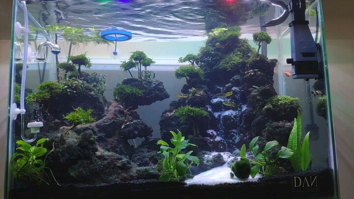 Aquascape Waterfall With Lavarock