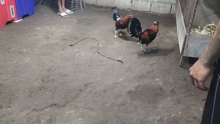 ah