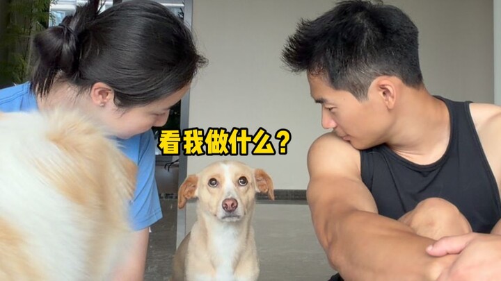 It’s said that puppies tend to like the person they look at first more.