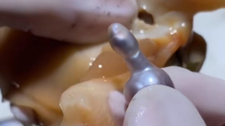 Oh, it's still a male clam