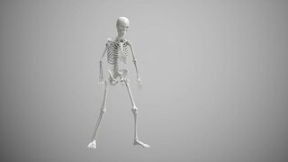 How to Contact American Airlines Customer Service Fast | A complete Guide Step~by~Step