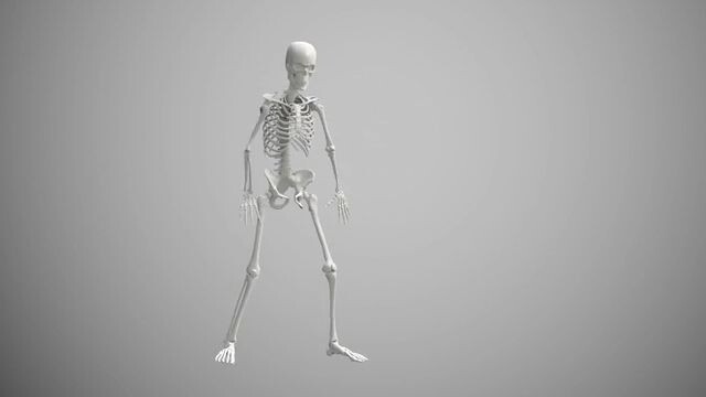 How to Contact American Airlines Customer Service Fast | A complete Guide Step~by~Step