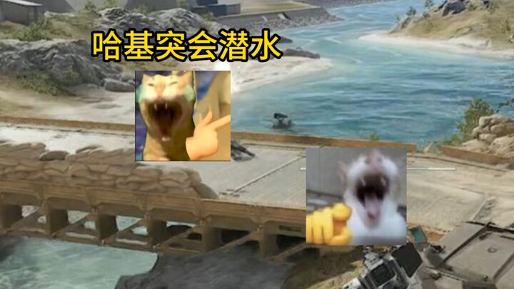 Haki Tu dove went diving.