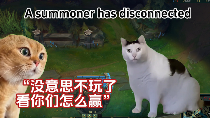 【มีมแมว】สภาพน่าสงสารของตัวช่วยที่พยายามไต่แรงค์