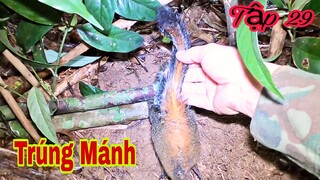 MỘT MÌNH BÁM TRỤ GIỮA  RỪNG MƯA  | Tập 29 | HÀNH TRÌNH SINH TỒN NƠI HOANG DÃ | HTV