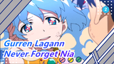 [Gurren Lagann MAD] Nia, I'll Not Forget You Even If the Universe Were Destroyed_2
