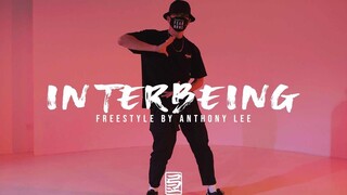 KINJAZ｜Anthony Lee "Interbeing" Gaya Bebas