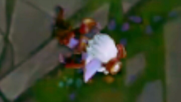 هل قتل AD نفسه بيده؟! درع 1031 في مواجهة 5 ضد رجل الحجر!