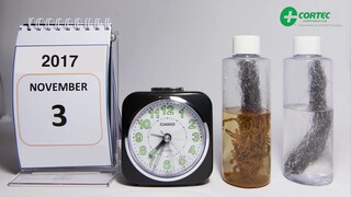 Corrosion time lapse - Cortec® VpCI® - Solutions to Corrosion