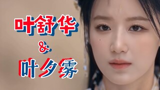 AI [Ye Shuhua & Ye Xiwu], both surnamed Ye, are sisters.