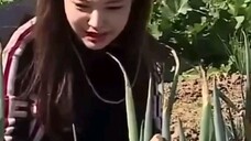 Jennie cute momments Survival Village