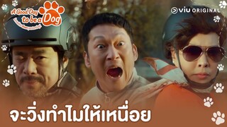 ลองจูบอีกรอบได้ไหม | A Good Day To Be A Dog EP8 | Full EP #ดูได้ที่Viu