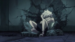 Hunter x Hunter Killua Zoldyck VS Palm Siberia Chimera Ant